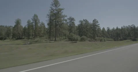 Front left driving plate - Highway 160 at Mile 112 Archuleta County Stock Footage 288561444