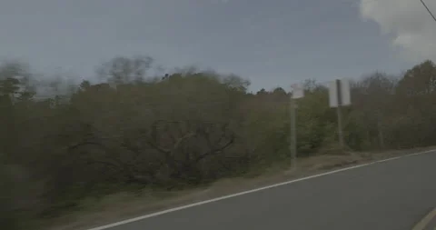 Front left driving plate - Highway 1 at Mile 6, Muir Beach Видео 295029914