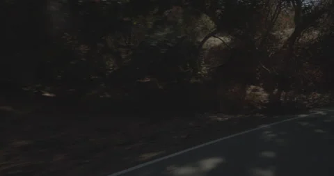 Front left driving plate - Highway 245 at Mile 27, Tulare County Stock Footage 295272670
