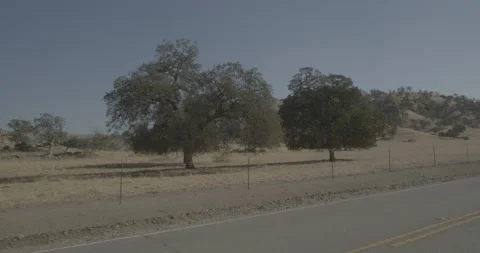 Front left driving plate - Highway 245 at Mile 17, Tulare County Stockbeeldmateriaal 295278915