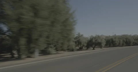 Front left driving plate - Highway 245 at Mile 13, Lemon Cove Stockbeeldmateriaal 295282244