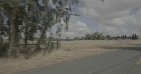 Front left driving plate - Montfort Avenue at Mile 1, Herald Vídeo Stock 293571203