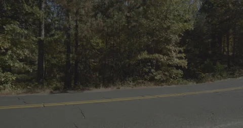 Front left driving plate - Smith Station Road at Mile 1, Groveland Видео 295056400