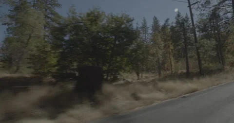 Front left driving plate - Smith Station Road at Mile 2, Groveland Stockbeeldmateriaal 295056975