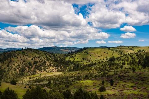 Front Line Of Destruction Stock Photos