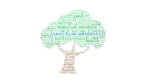 Front Line Workers animated word cloud on a white background. Stock Footage 146611098
