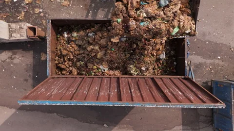 Front loader at landfill dumps organic food waste into metal container, Stock Footage 281339480