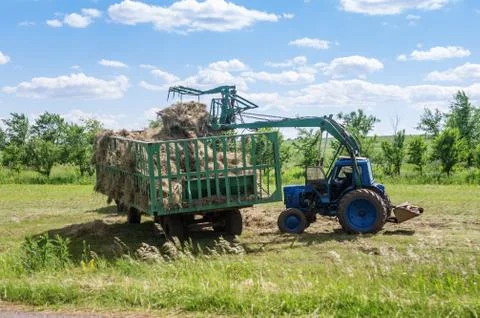 Front loader loads hay in the trailer Stock Photos