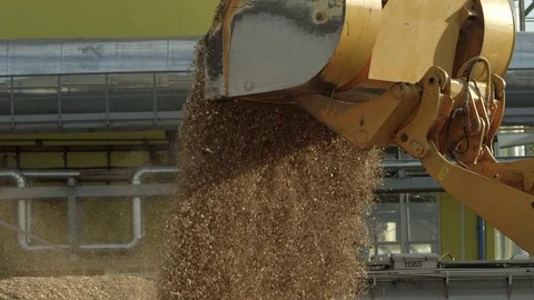 Front loader pouring wood chips from its bucket into a pile 스톡 동영상 71271063