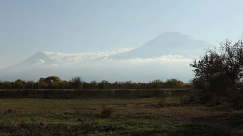 In front of the mountain are trees 4 Video stock 316178816