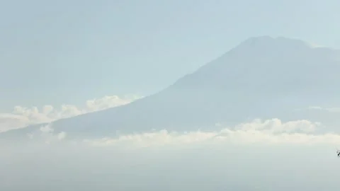 In front of the mountain are trees 5 Stock Footage 316178808