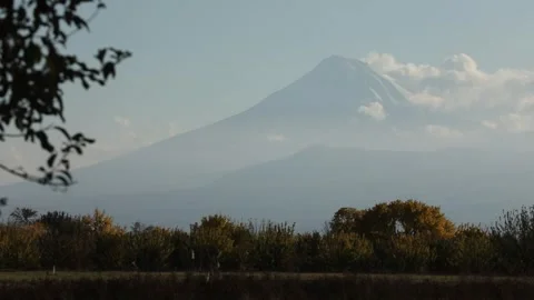 In front of the mountain are trees 7 Video stock 316178829