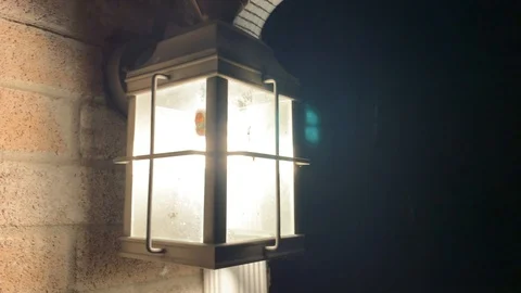 Front porch light with bugs 스톡 동영상 105138988