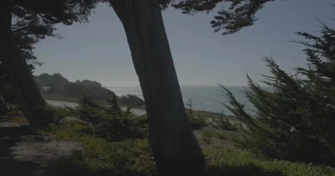 Front right driving plate - Exotic Gardens Road at end of the road, San Simeon Stock Footage 294914694