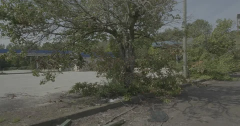 Front right driving plate - Highway 95 at Horne Road, Rowland Stock Footage 285045267