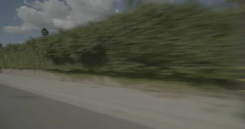 Front right driving plate - Highway 126 at D Street, Fillmore Stock Footage 294698056