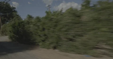 Front right driving plate - Highway 150 at Mile 25, Ojai Vidéo 294704710