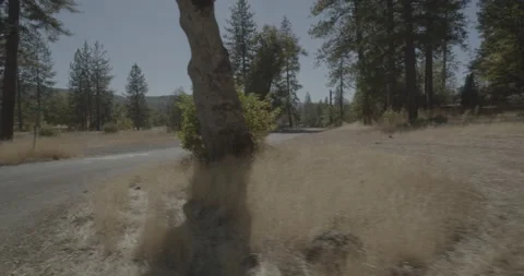 Front right driving plate - Highway 120 at Ferreti Road, Buck Meadows Vídeo Stock 295119095