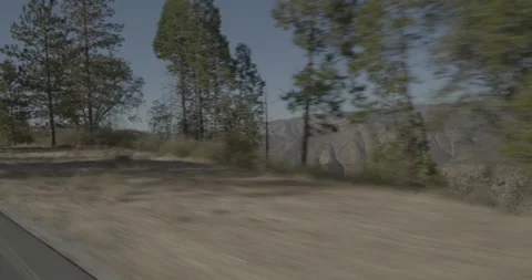 Front right driving plate - Highway 120 at Mile 47, Colfax Spring Stock Footage 295133243