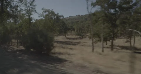 Front right driving plate - Highway 245 at Mile 33, Tulare County Stock Footage 295226065