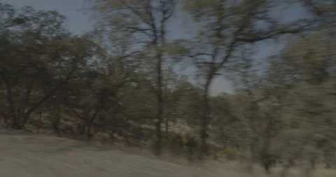 Front right driving plate - Highway 245 Southbound at Tulare County Stock Footage 295273785