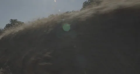 Front right driving plate - Highway 245 at Mile 20, Tulare County Stock Footage 295277598