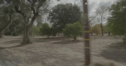Front right driving plate - Jahant Road at Tretheway Road, Dogtown Vídeo Stock 293478119