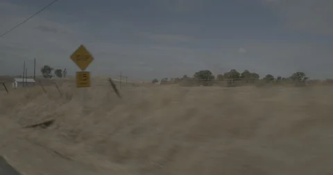 Front right driving plate - Shiloh Road at Mile 2, Cordelia Vídeo Stock 293107445