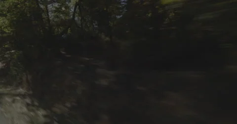 Front right driving plate - Smith Station Road at Mile 2, Groveland Stock Footage 295056972