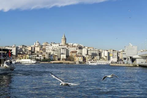 In the front seagull in the middle ship in the back galata tower Stock Photos