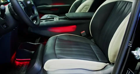 Front seats with auto comfort function. Witness the captivating beauty Stock Footage 304090384