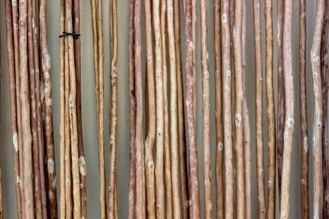 Front shoot of array of reeds texture Stock Photos