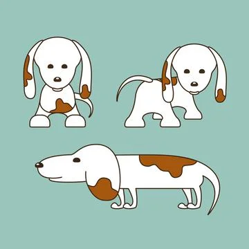 Front, Side and Back View of White Long Dog With Brown Spots Illustrazione stock