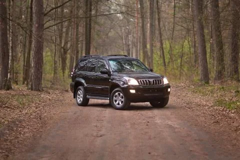 Front side of the black SUV in forest Stock Photos