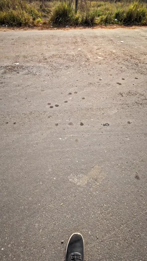 Front side left to right wide view of empty road Video stock 328110924