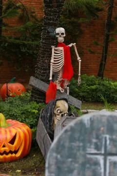 Front side view of human skull zombie man. Horror, Halloween concept. Foto stock