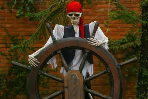 Front side view of human skull zombie man. Horror, Halloween concept. Stock Photos