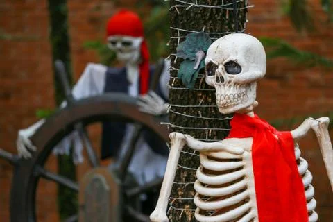 Front side view of human skull zombie man. Horror, Halloween concept. Stock Photos