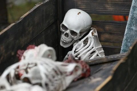 Front side view of human skull zombie man. Horror, Halloween concept. Foto stock