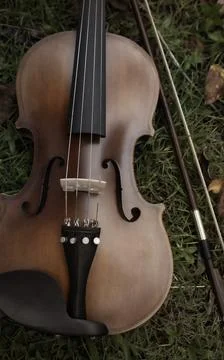 Front side of violin put on green grass ground floor,blurry light around Stock Photos