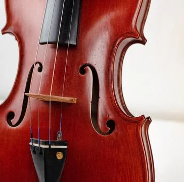 Front side of violin,show detail of stringed instrument Foto stock