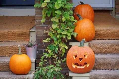 Front steps with pumpkins Stock Photos