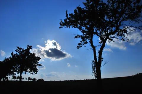 In front with sun. Stock Photos