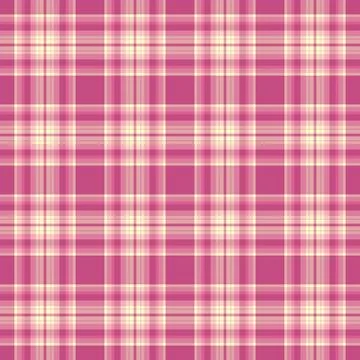 Front vector check seamless, infinity background tartan fabric. Madras patt.. 库存插图
