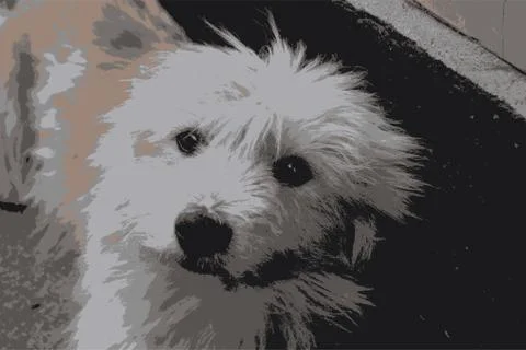Front viev home pet Stock Illustration