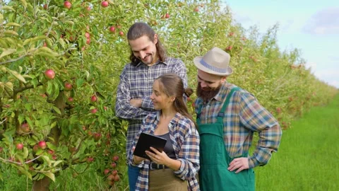 Front view 3 young people family farmers garden apples inspect trees fruits girl Stock Footage 298490647