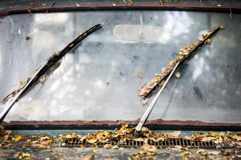 Front view of an abandoned green car. Stock Photos