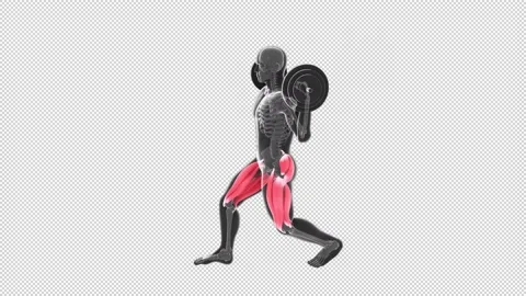 Front View of  Alternate Front Lunges with Barbell Stock Footage 154886330