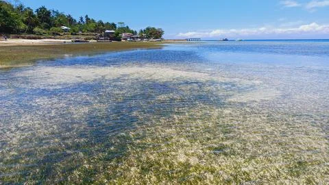 Front view of beach  Stock Photos