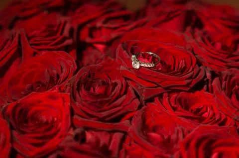 Front view of beautiful wedding ring with precious stone on red roses backgro Foto stock